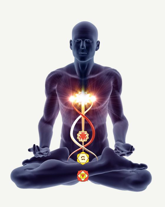 Amargi logo