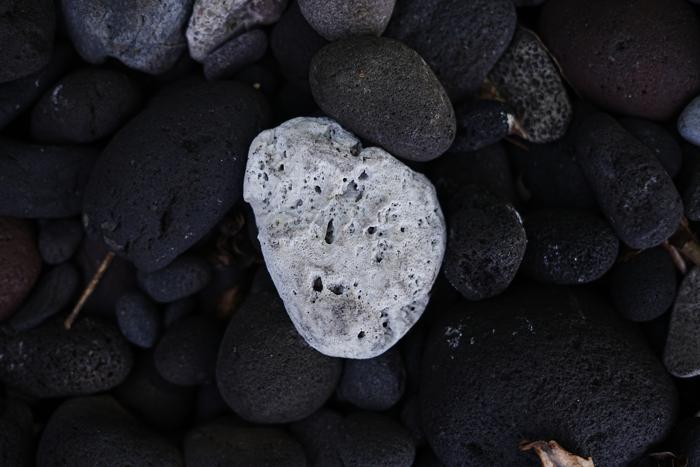 white coral on black pebbles