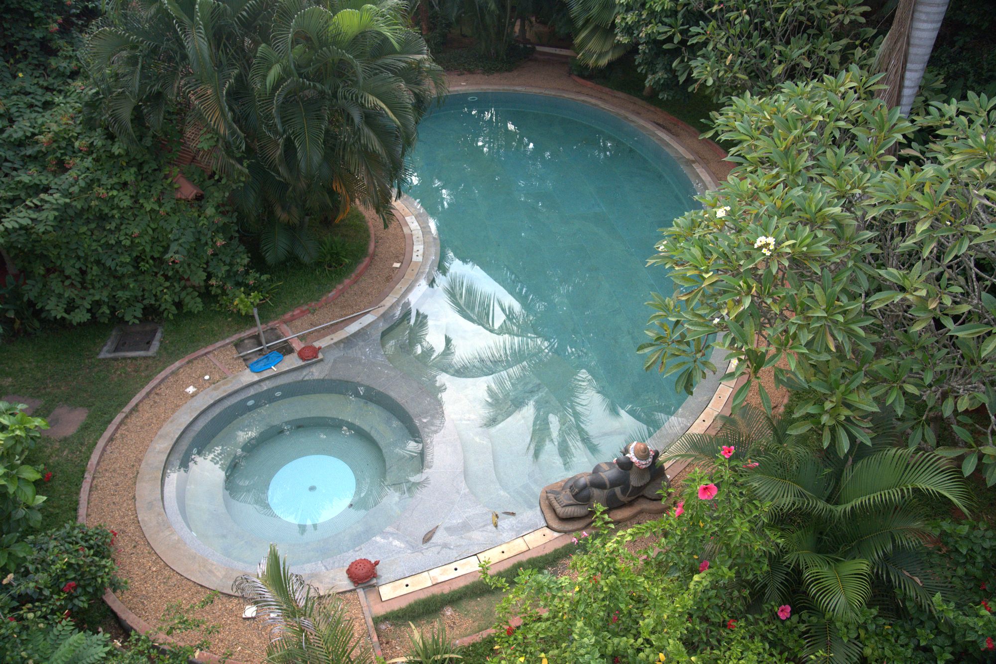 pool aerial greenery