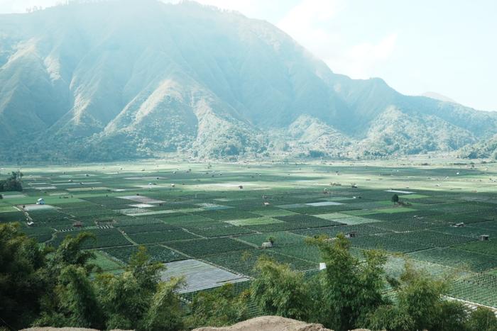 Sembalun valley mountains wide