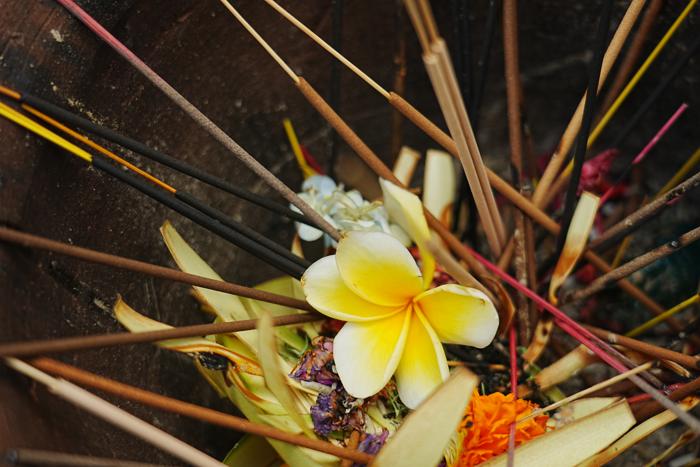 incense sticks and frangipani offering